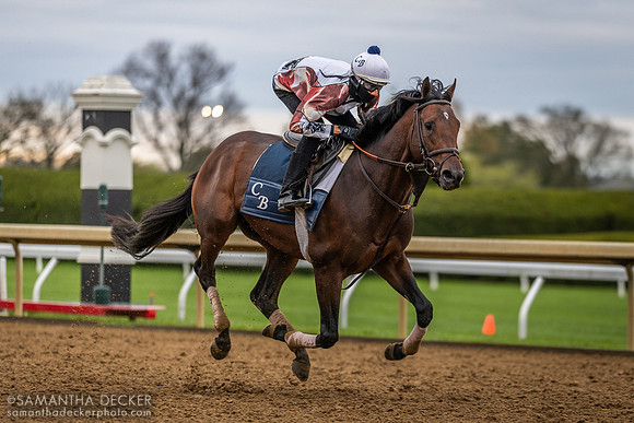 Sierra Leone training at Keeneland, April 2024
