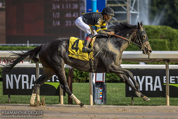 Poca Mucha wins the De La Rose S.
