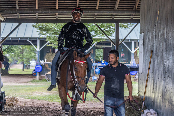 Spirit and Glory, Robert Falcone barn