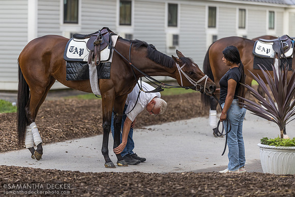Todd Pletcher