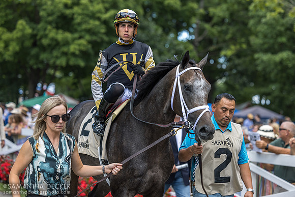 Showcase, winner of the Saratoga Special S.