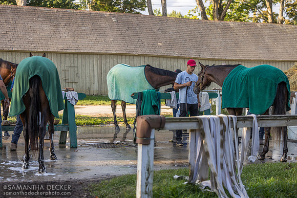 Mott trainees on the washpad