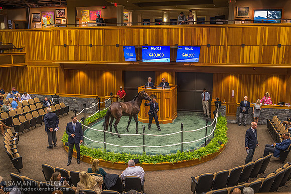 Fasig-Tipton