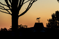 Keeneland Sunrise, 2023
