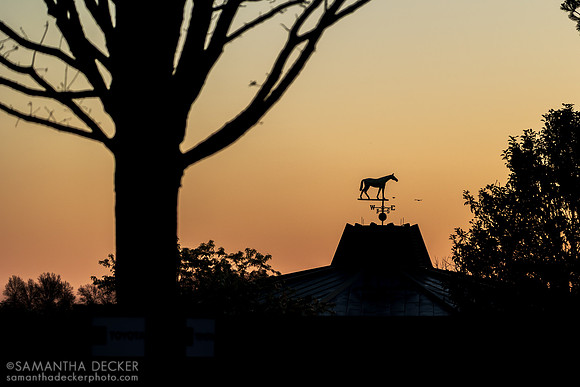 Keeneland Sunrise, 2023