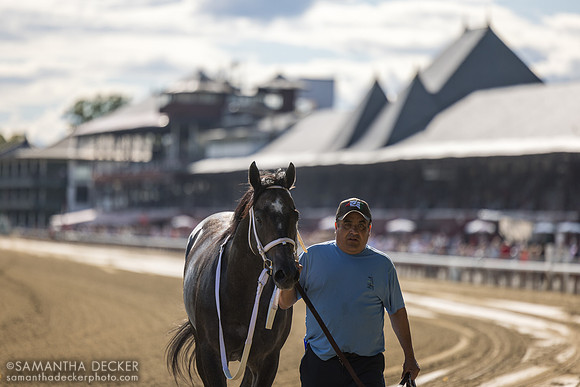 Buttah heads to the test barn