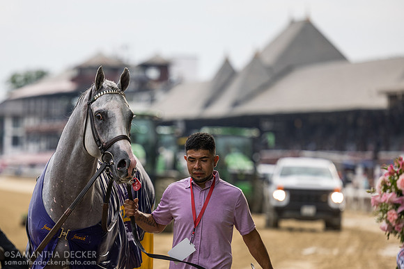 Arthur's Ride heads to the test barn