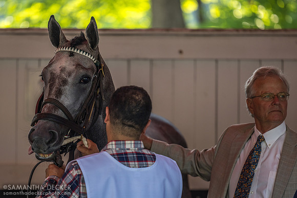 Batten Down with Bill Mott