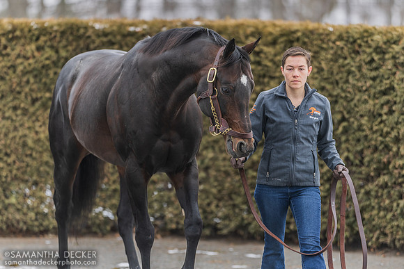 Mind Control at Rockridge Stud, 2025