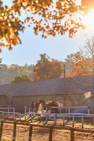 Oklahoma Training Track, 2014