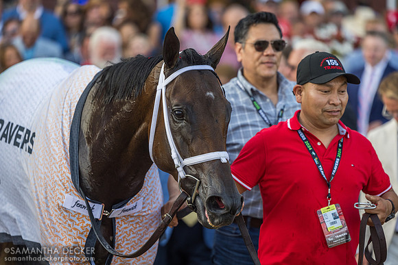 Fierceness exits the winner's circle