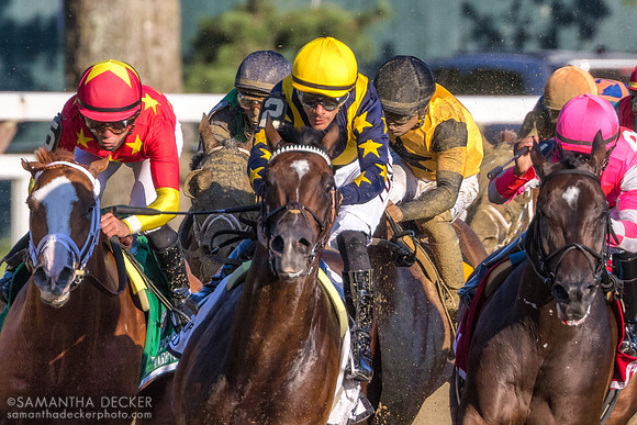 Olympiad wins the Grade I Jockey Club Gold Cup
