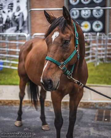 Kid Blast Outside the National Museum of Racing and Hall of Fame, Saratoga Springs, NY, 2022