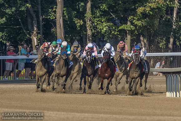 Around the far turn in the H. Allen Jerkens (heavily cropped)
