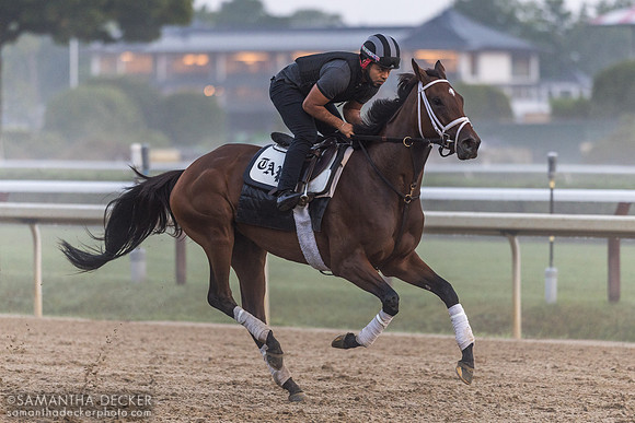 Carlos Quevedo rides Candied
