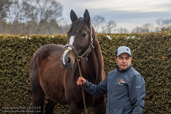 Broodmare Hatta's Appeal at Rockridge Stud, 2025