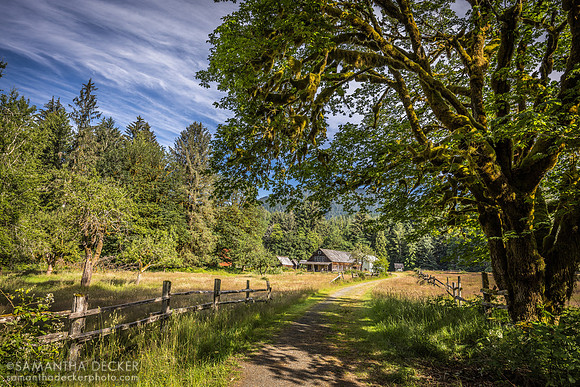 Kestner Homestead Trail, Olympic National Park