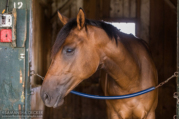 Disclaimer, John Terranova barn