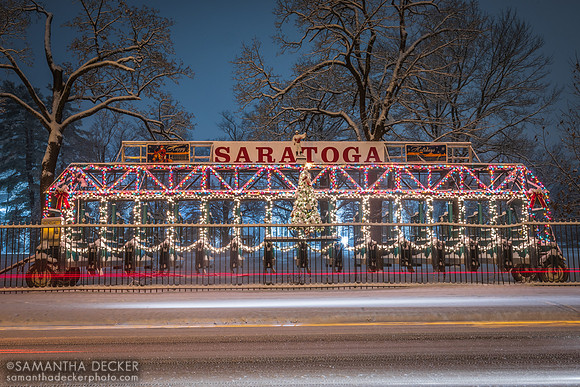 Snowy Starting Gate, 2022