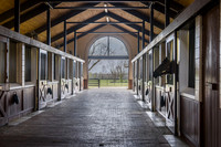 Jane Grey (full sister to Sovereignty), Gainsborough Farm, Versailles, KY