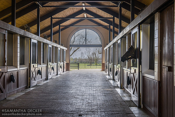 Jane Grey (full sister to Sovereignty), Gainsborough Farm, Versailles, KY