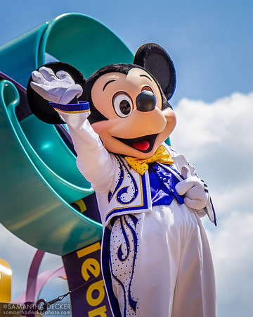 Celebrate a Dream Come True Parade (2011), Magic Kingdom