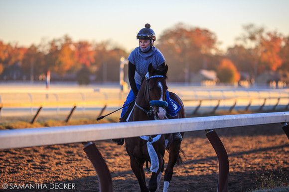 Oklahoma Training Track, Saratoga Springs, 2014