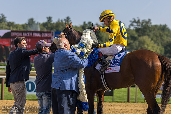 Far Bridge wins the Sword Dancer
