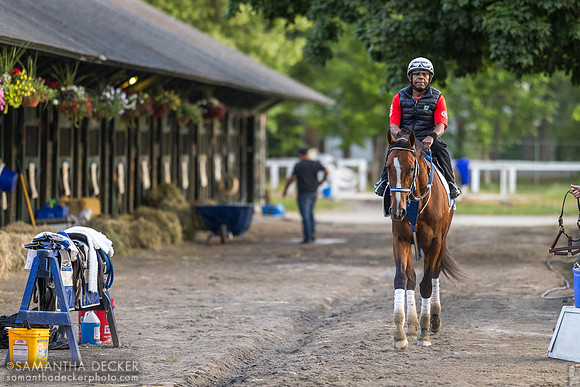 Mystik Dan, Oklahoma Training Track