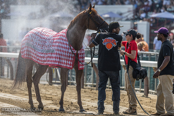 Nakatomi, winner of the Alfred G. Vanderbilt H.