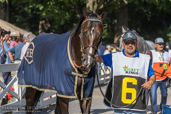 Mullikin, winner of the Forego