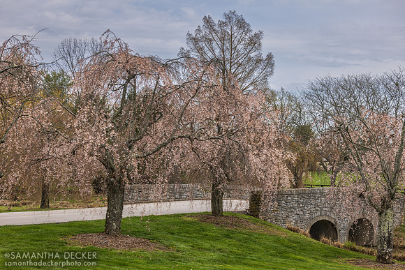 Gainsborough Farm, Versailles, KY