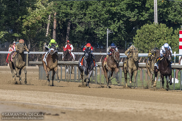Stretch run of the Forego