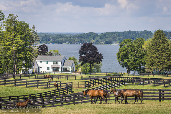 Old Tavern Farm