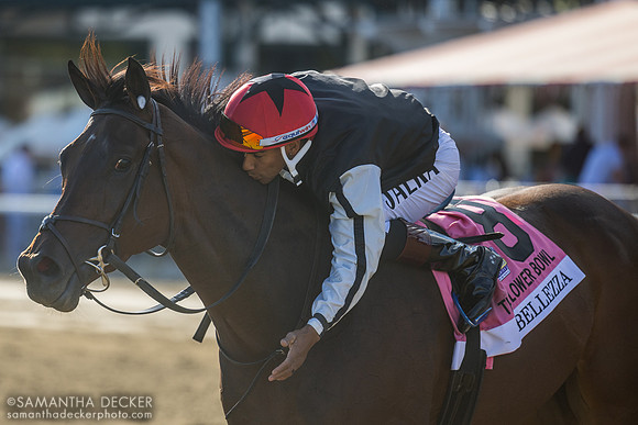 Bellezza wins the 2025 Grade II Flower Bowl Stakes