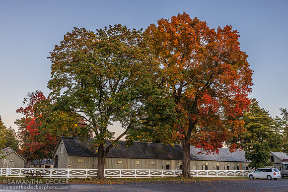 Oklahoma Track in Fall, 2022