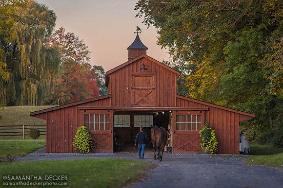 Mahoney Eden Manor