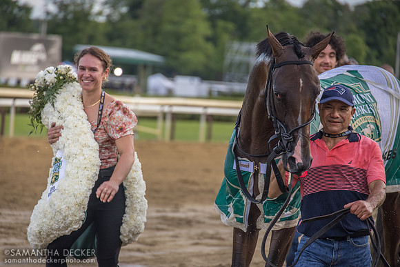 Dornoch wins the Belmont Stakes, led by groom Elio Alvarez