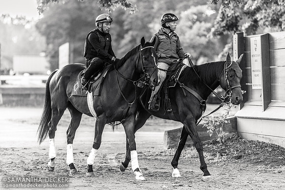 Jimmy Quispe on Sovereignty and Neil Poznansky on Rocky the pony head out to the track, 2025