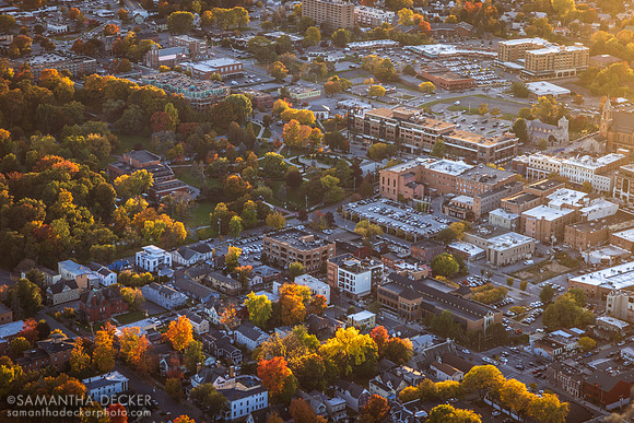 Downtown Saratoga from Above