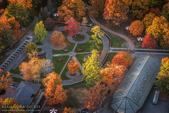 Saratoga Race Course Paddock from Above, 2022