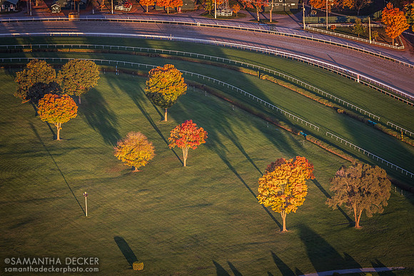 Saratoga Race Course from Above, 2022