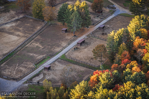 Old Friends at Cabin Creek, Greenfield, NY, 2022