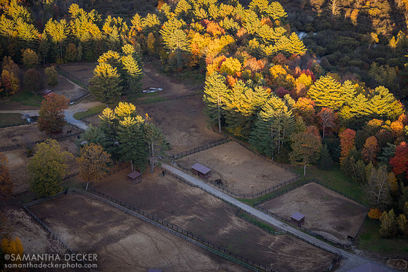 Old Friends at Cabin Creek, Greenfield, NY, 2022