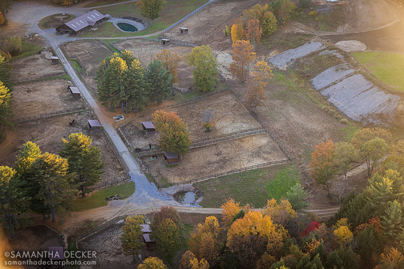Old Friends at Cabin Creek, Greenfield, NY, 2022