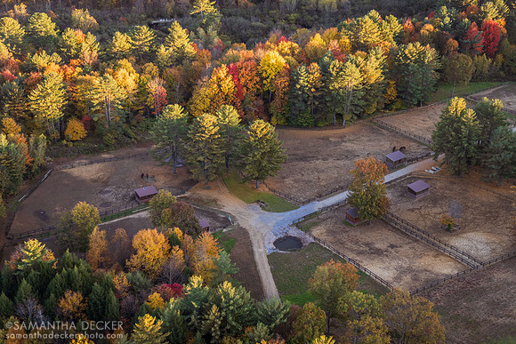 Old Friends at Cabin Creek, Greenfield, NY, 2022