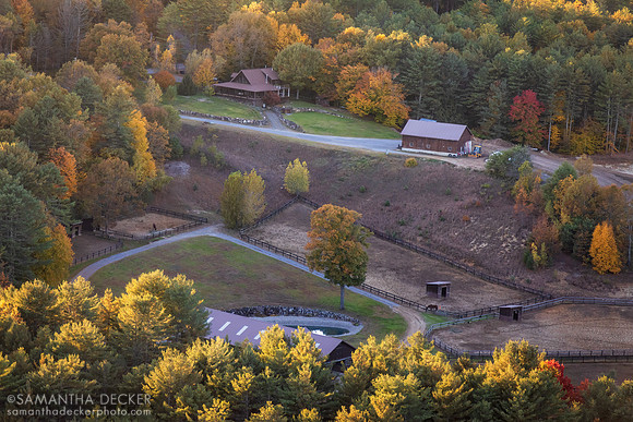 Old Friends at Cabin Creek, Greenfield, NY, 2022