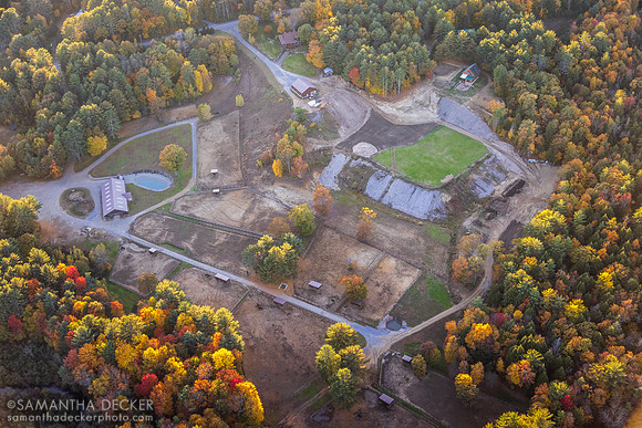 Old Friends at Cabin Creek, Greenfield, NY, 2022