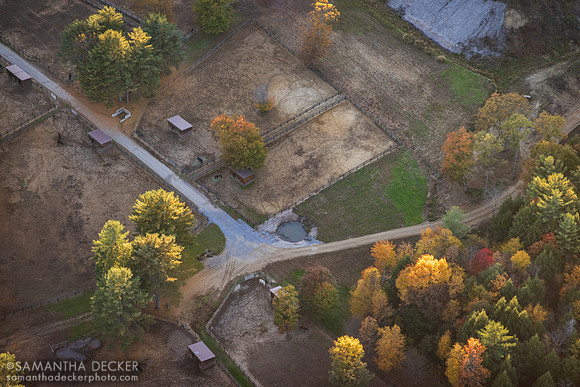 Old Friends at Cabin Creek, Greenfield, NY, 2022