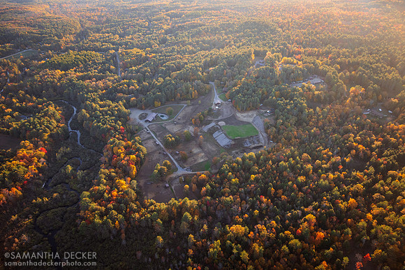 Old Friends at Cabin Creek, Greenfield, NY, 2022